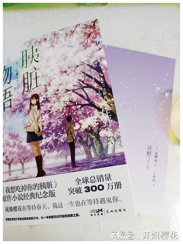 联合国机构多名雇员被控涉嫌参与哈马斯袭击