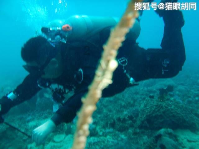 华泰期货：铝价震荡走弱，现货成交冷淡