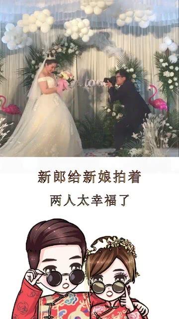 五彩鹦鹉救援