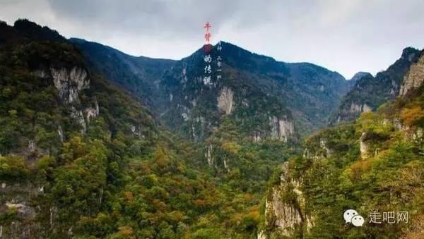 2011年,24岁女孩深夜惨死,现场发现44码鞋印,两任男友皆穿该码