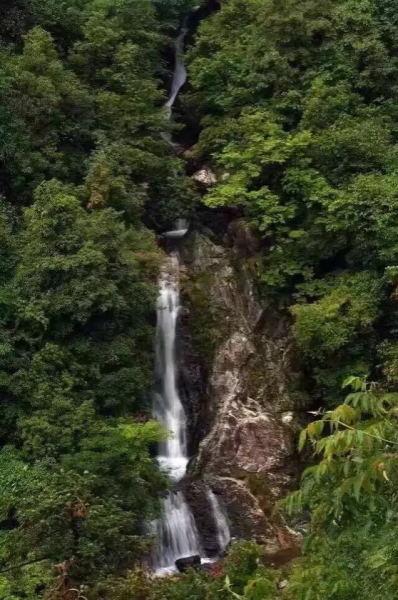 逃出安逸小乡村