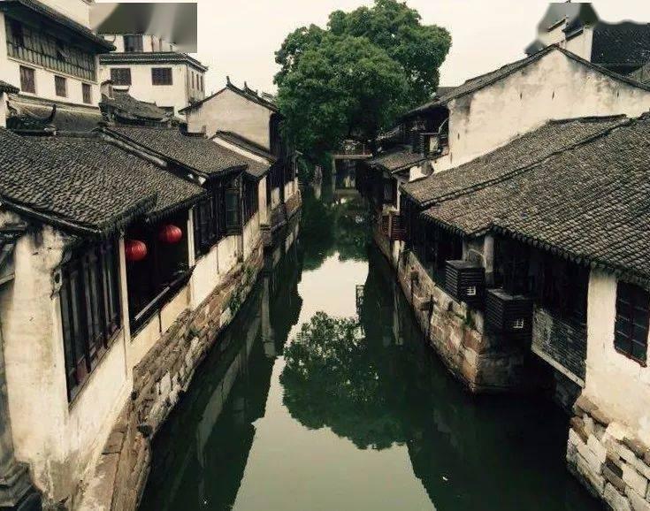 刘涛的烤瓷牙变蓝变黑,后遗症来了?