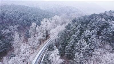 辽宁男篮大胜难掩一人落寞,全队喂球难得1分,未来该何去何从